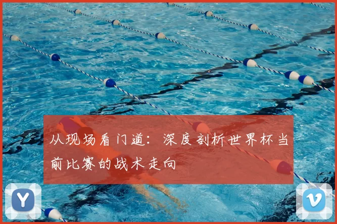 从现场看门道:深度剖析世界杯当前比赛的战术走向