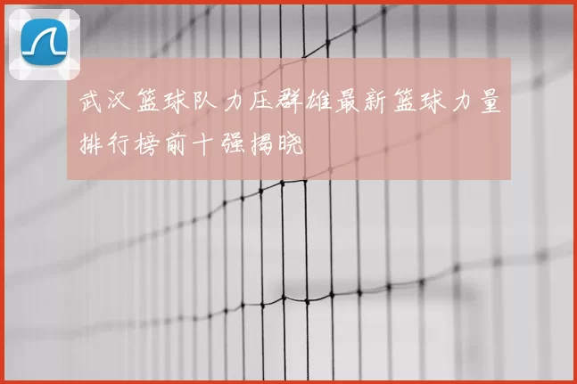 武汉篮球队力压群雄最新篮球力量排行榜前十强揭晓