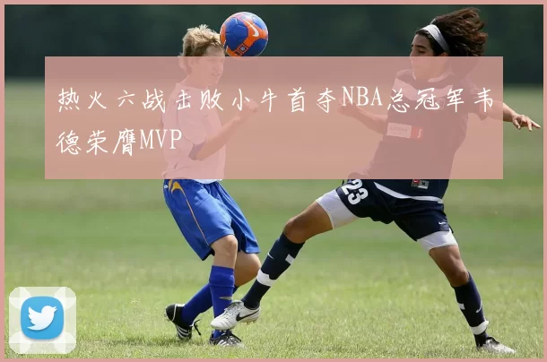 热火六战击败小牛首夺NBA总冠军韦德荣膺MVP