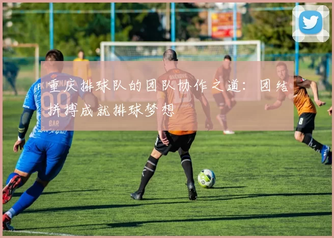 重庆排球队的团队协作之道:团结拼搏成就排球梦想