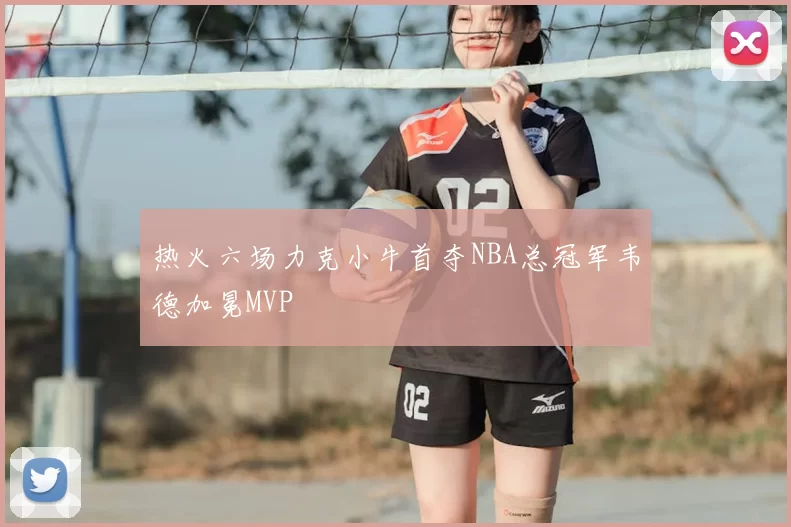 热火六场力克小牛首夺NBA总冠军韦德加冕MVP
