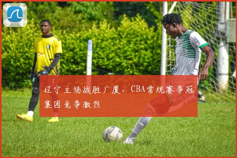辽宁主场战胜广厦,CBA常规赛争冠集团竞争激烈