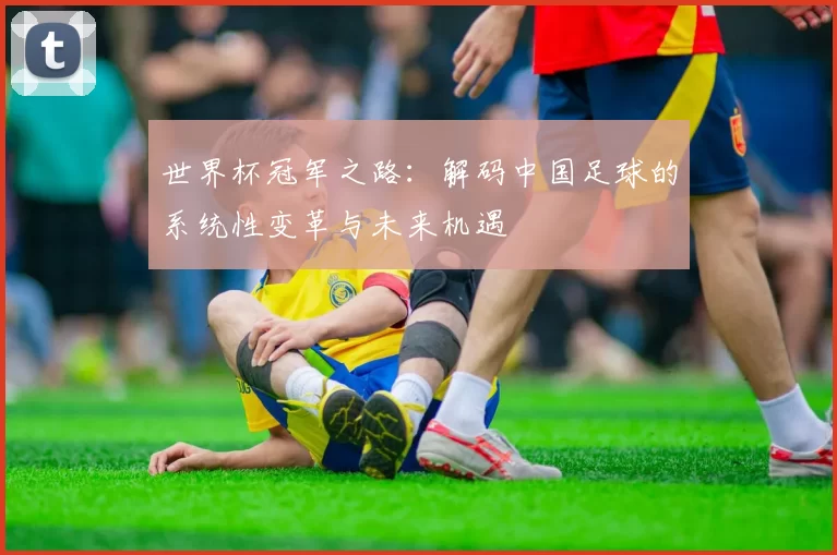 世界杯冠军之路:解码中国足球的系统性变革与未来机遇