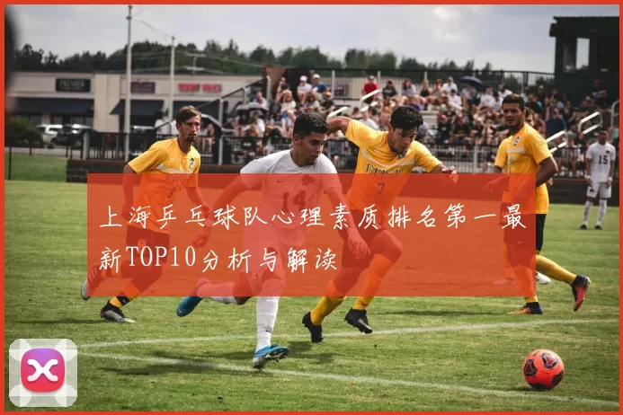 上海乒乓球队心理素质排名第一最新TOP10分析与解读