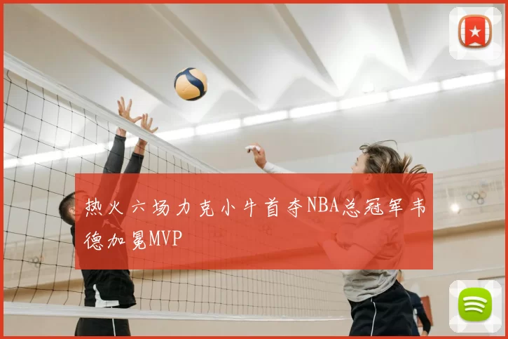 热火六场力克小牛首夺NBA总冠军韦德加冕MVP