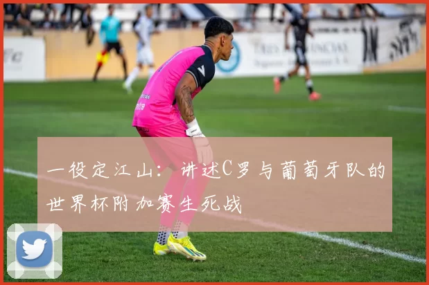 一役定江山:讲述C罗与葡萄牙队的世界杯附加赛生死战