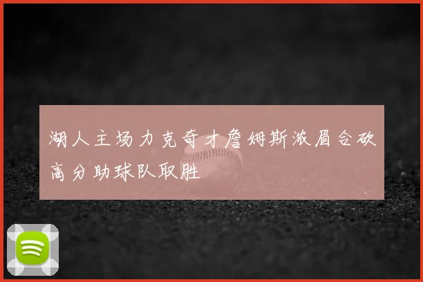 湖人主场力克奇才詹姆斯浓眉合砍高分助球队取胜