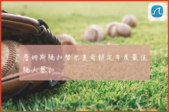 詹姆斯隔扣努尔基奇锁定年度最佳隔人暴扣