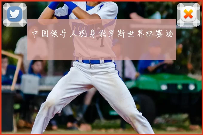 中国领导人现身俄罗斯世界杯赛场