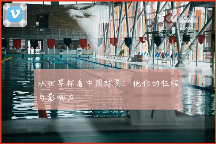 从世界杯看中国球员:他们的征程与影响力
