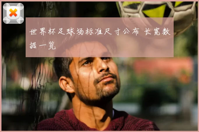 世界杯足球场标准尺寸公布 长宽数据一览
