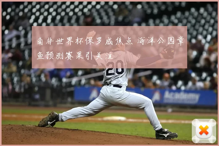 南非世界杯保罗成焦点 海洋公园章鱼预测赛果引关注