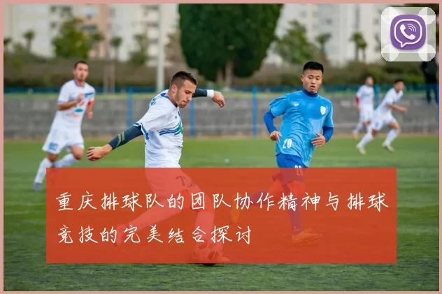 重庆排球队的团队协作精神与排球竞技的完美结合探讨