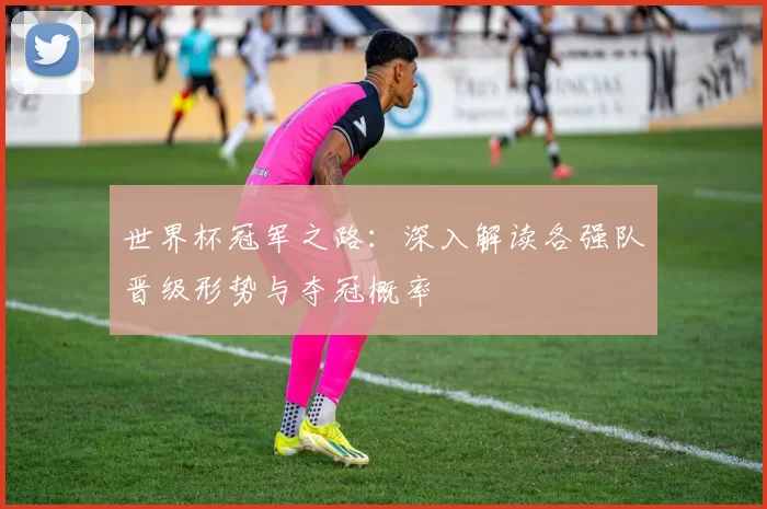 世界杯冠军之路:深入解读各强队晋级形势与夺冠概率