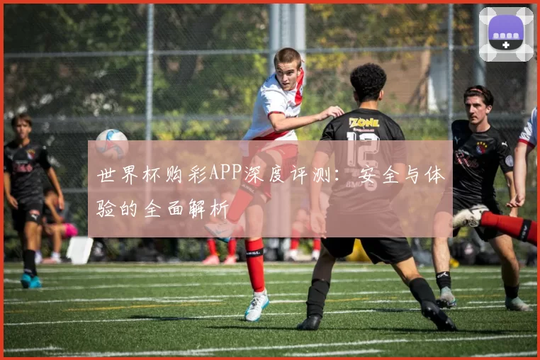 世界杯购彩APP深度评测：安全与体验的全面解析