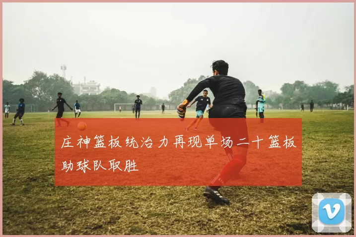 庄神篮板统治力再现单场二十篮板助球队取胜