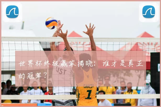 世界杯终极赢家揭晓:谁才是真正的冠军?