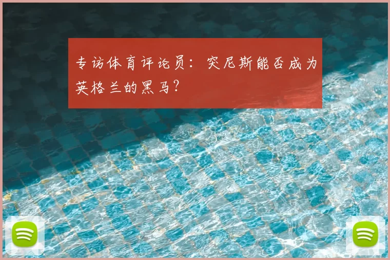 专访体育评论员:突尼斯能否成为英格兰的黑马?