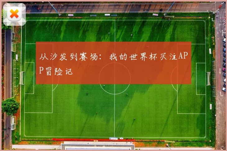 从沙发到赛场:我的世界杯买注APP冒险记