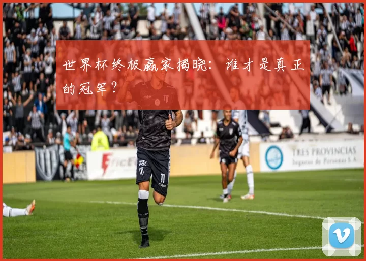 世界杯终极赢家揭晓:谁才是真正的冠军?