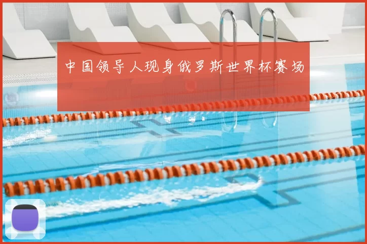 中国领导人现身俄罗斯世界杯赛场