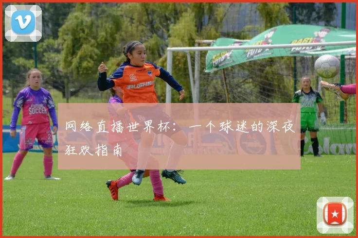 网络直播世界杯:一个球迷的深夜狂欢指南