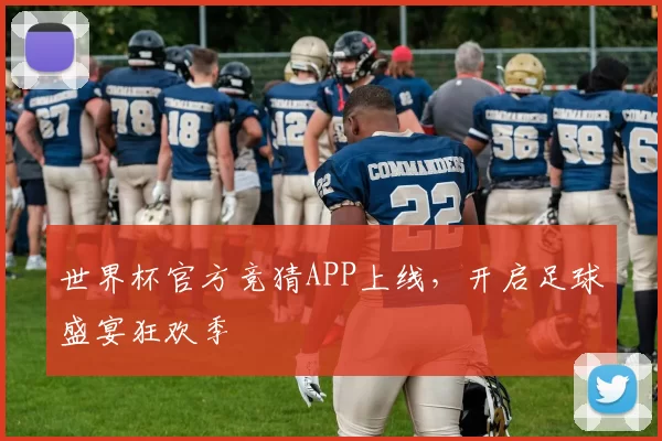 世界杯官方竞猜APP上线,开启足球盛宴狂欢季